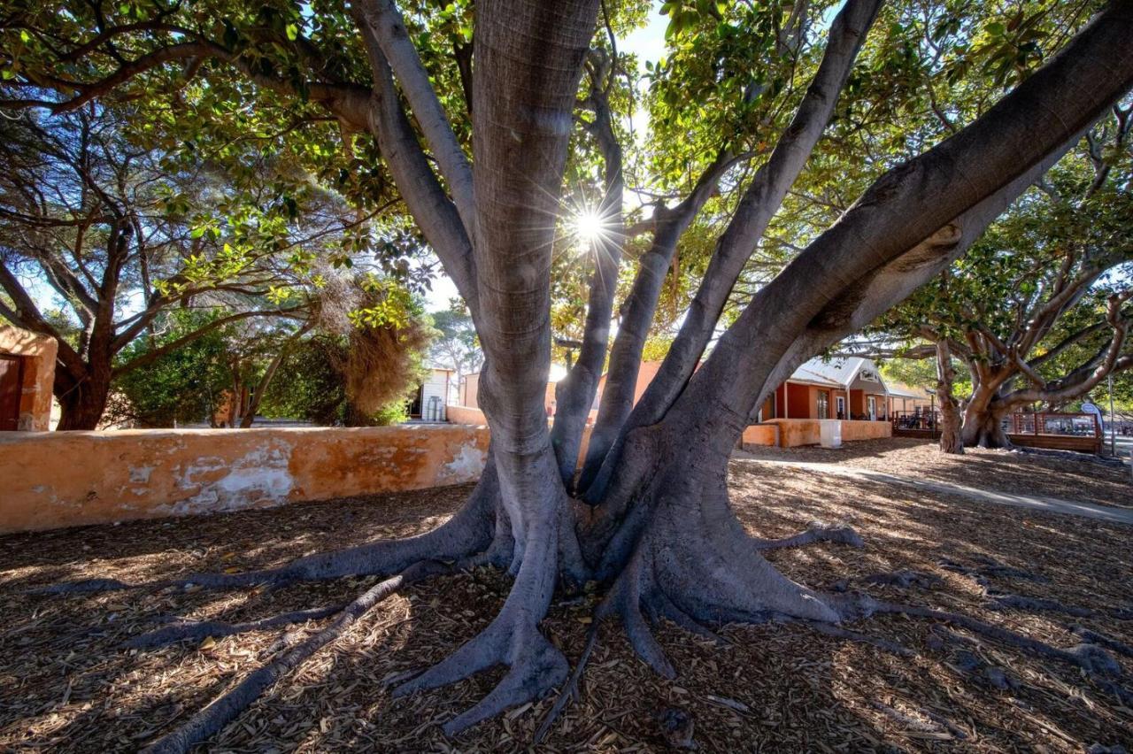 Discovery Resorts - Rottnest Island Esterno foto